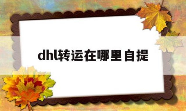 dhl转运在哪里自提